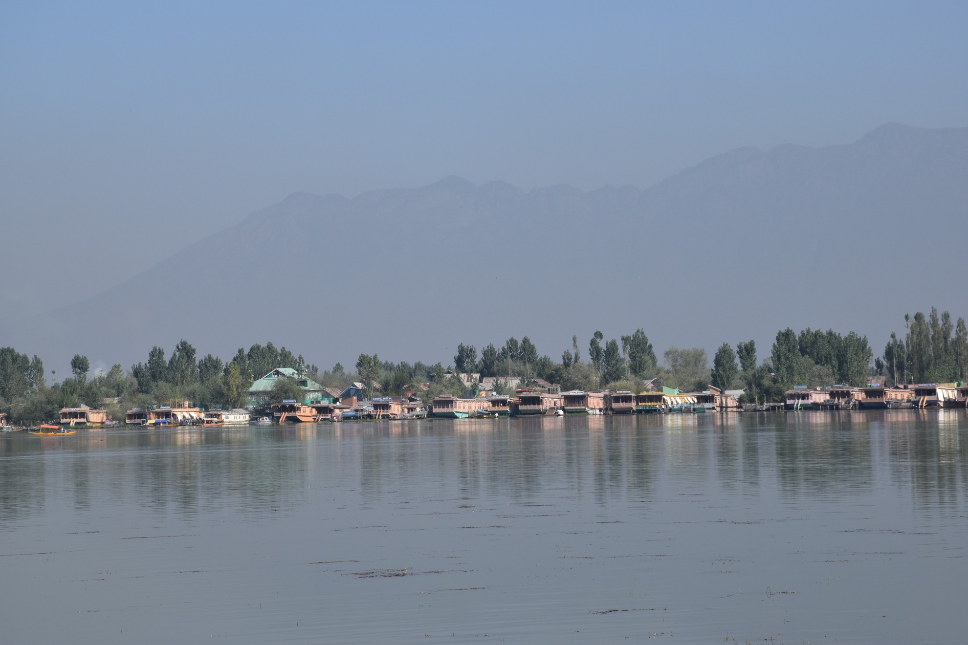 Leh4 Image