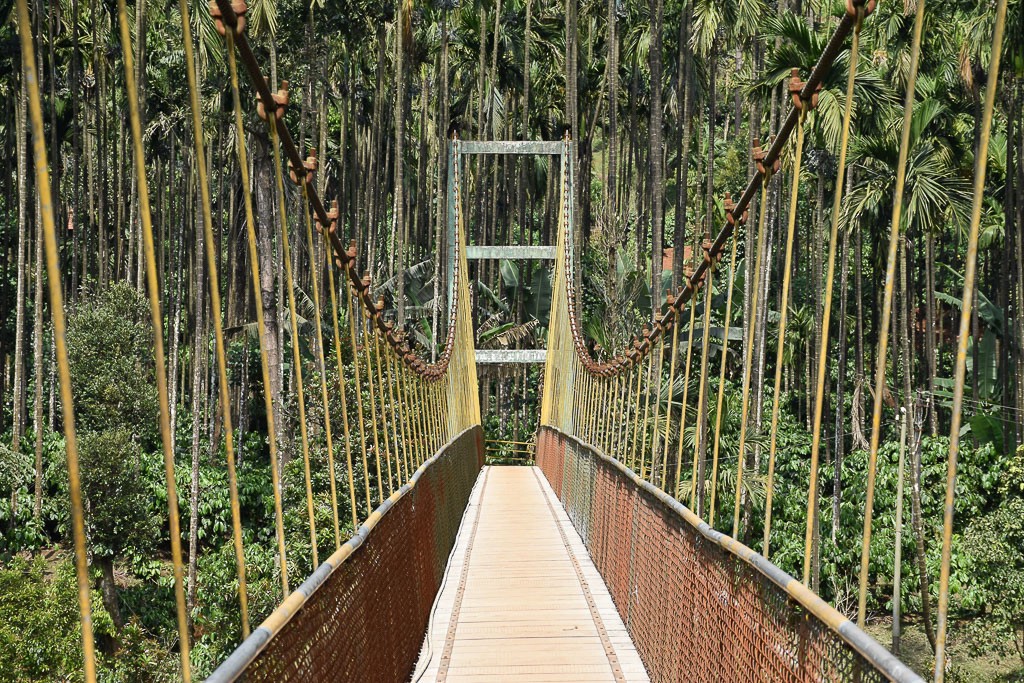 bridge