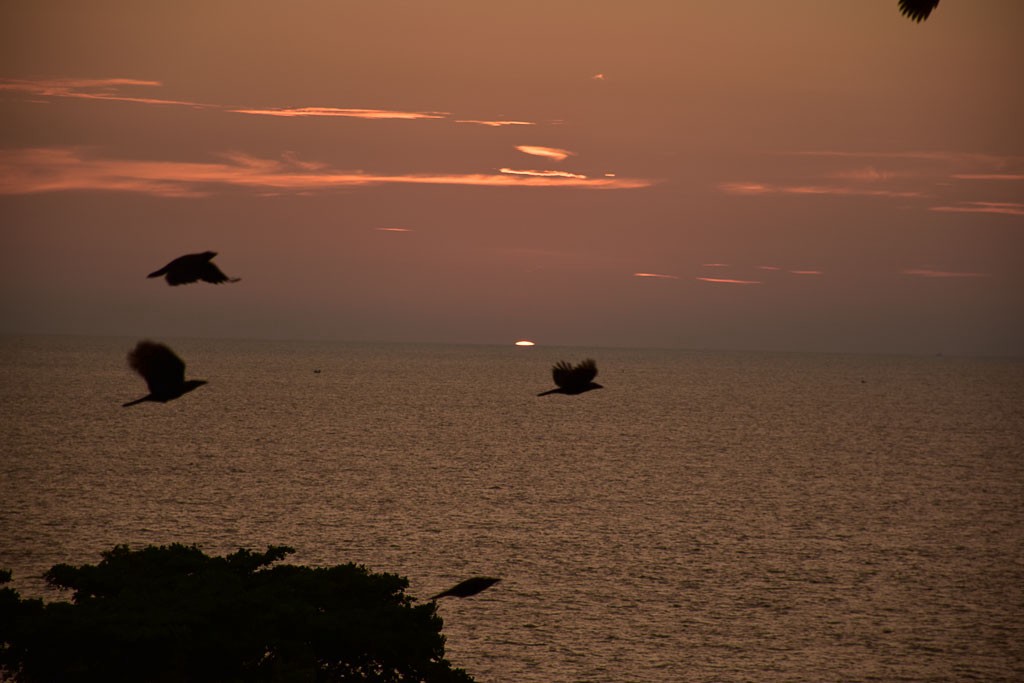 sunset2