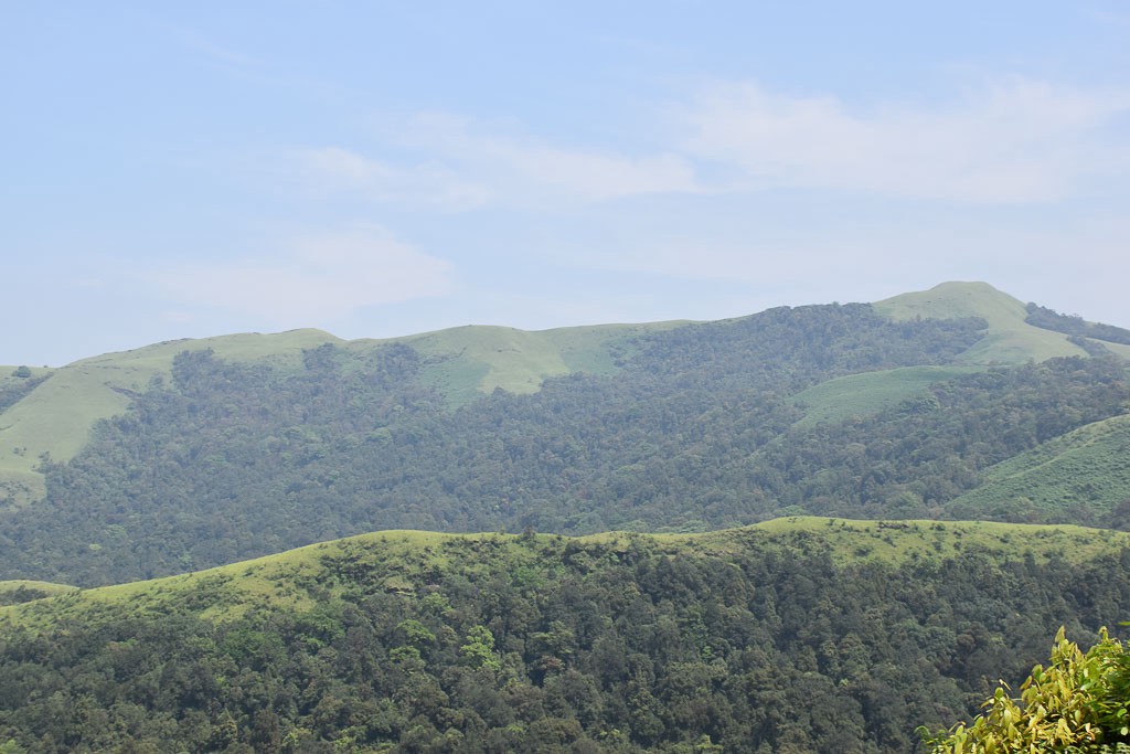 view
